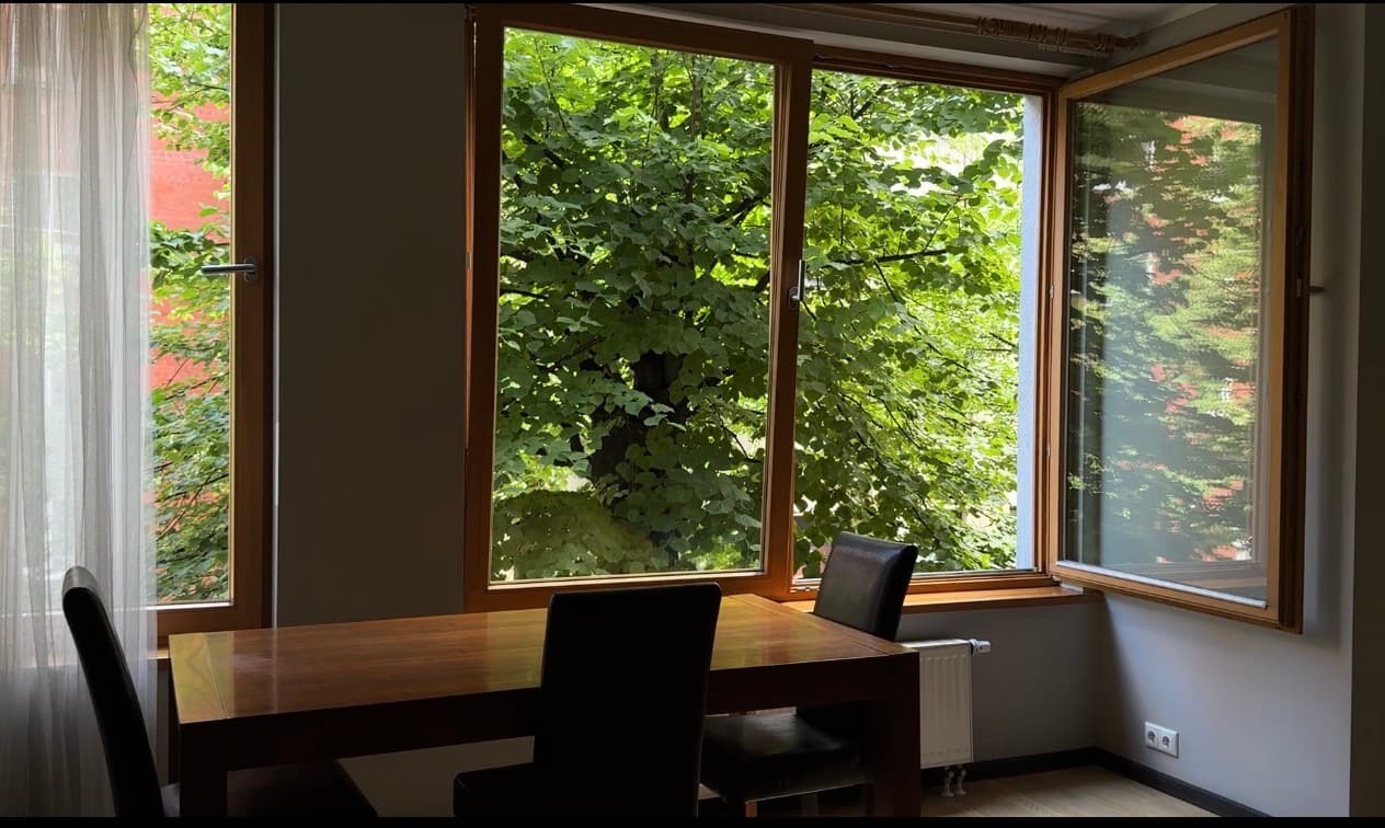 Bedroom window view facing mature green trees